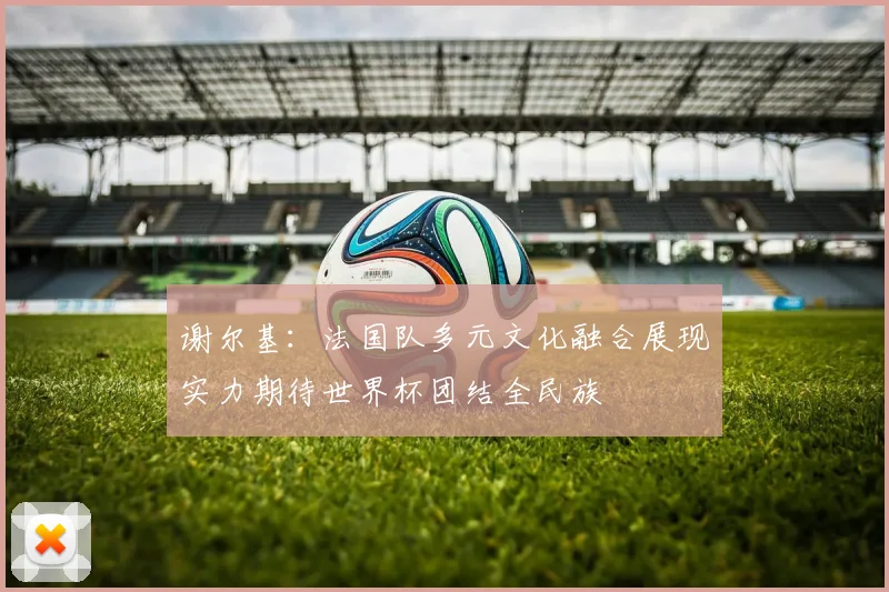 谢尔基：法国队多元文化融合展现实力期待世界杯团结全民族