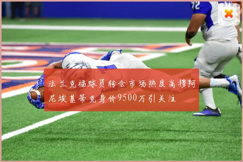 法兰克福球员转会市场热度高穆阿尼埃基蒂克身价9500万引关注